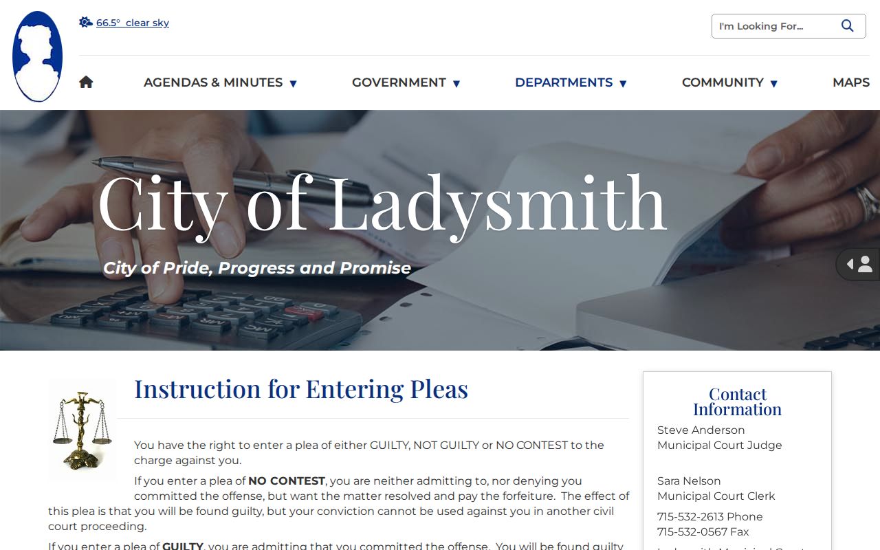 Ladysmith court docket municipal plea options